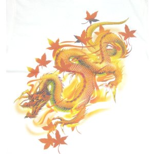 画像: 紅雀 和柄 赤龍 黒龍 フルカラー プリント Ｔシャツ 刺青 和彫り デザイン
